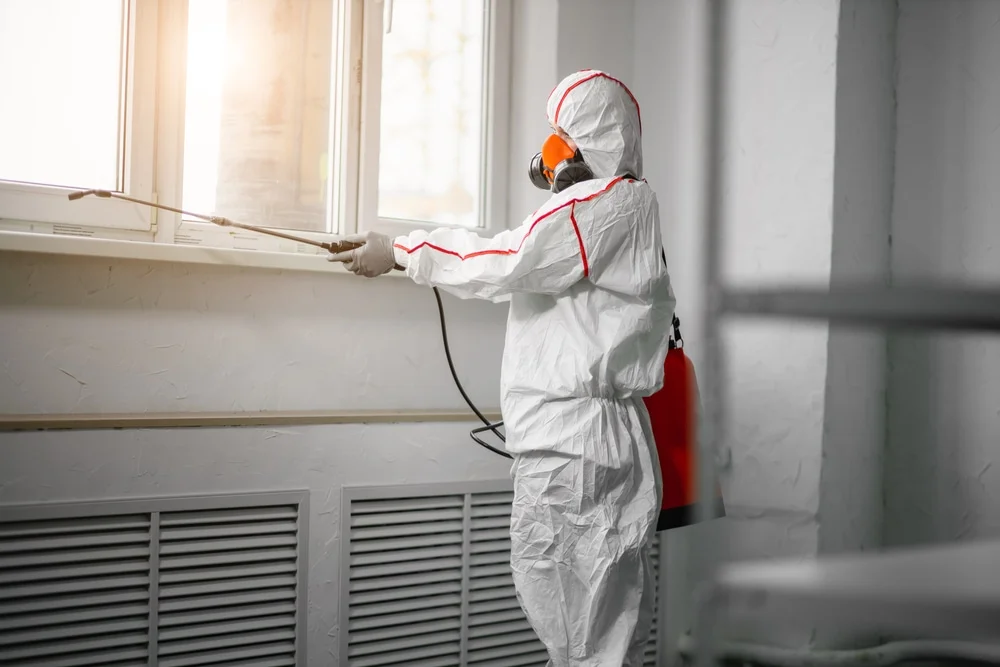 Professional mold remediation services in Frenchtown, NJ